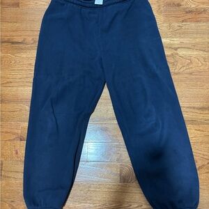 Aritzia Mega fleece sweatpants in Admiral